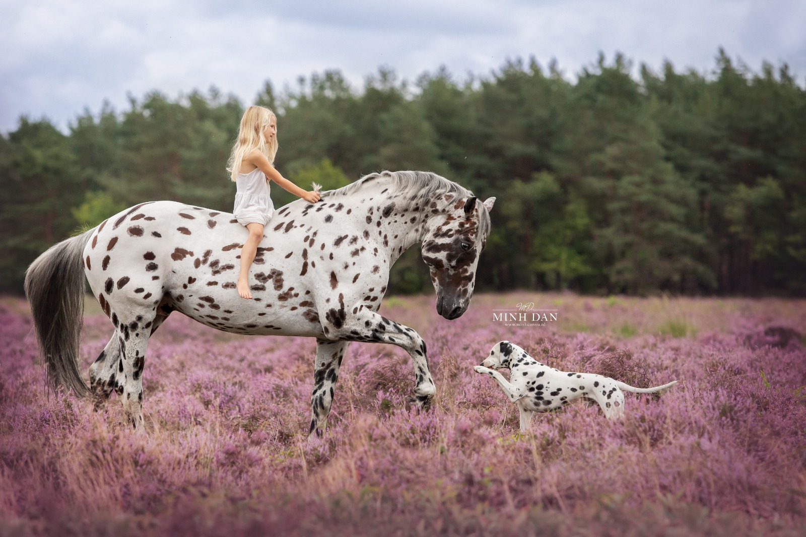 Jolie Lune and our amazing stallion Nevada